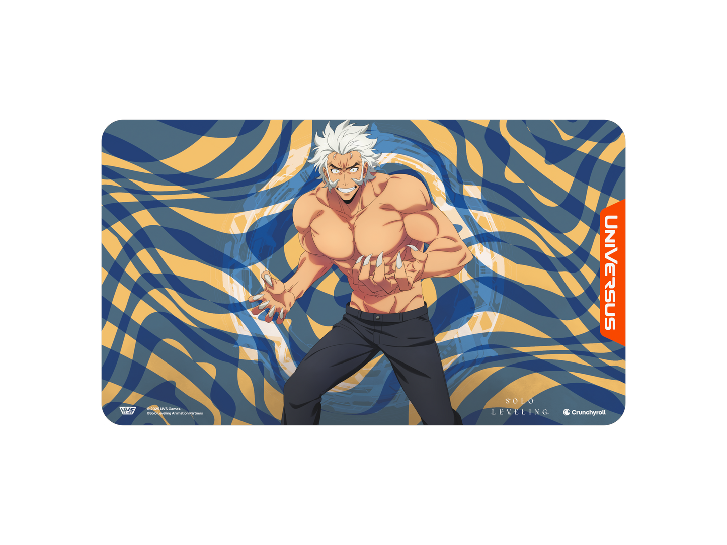 Solo Leveling Experience Bundle  - Baek Yoonho