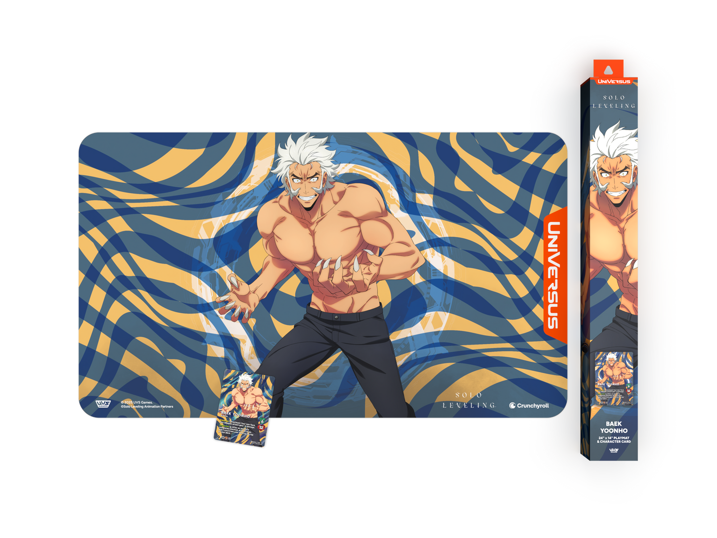 Solo Leveling Experience Bundle  - Baek Yoonho